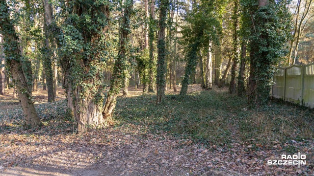 Fot. Robert Stachnik [Radio Szczecin] Mieszkańcy Płoni walczą o powiększenie lokalnego cmentarza [WIDEO, ZDJĘCIA]