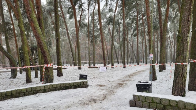 Las Dąbrówka Fot. Urząd Miasta w Policach Ostrożnie w parkach i lasach [WIDEO, ZDJĘCIA]