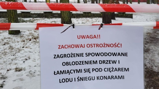 Las Dąbrówka Fot. Urząd Miasta w Policach Ostrożnie w parkach i lasach [WIDEO, ZDJĘCIA]