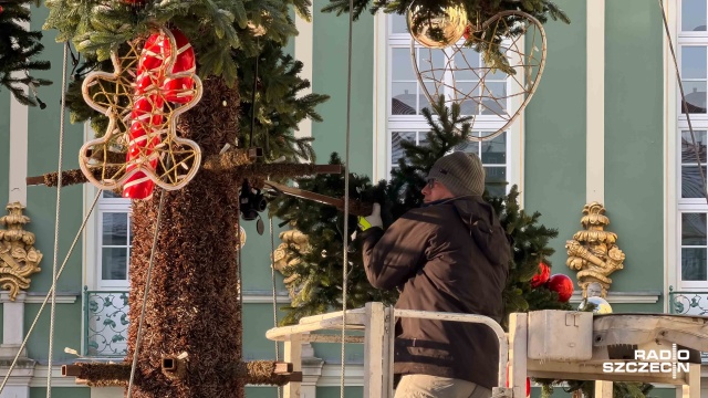 Fot. Robert Stachnik [Radio Szczecin] Choinka przed UM kończy sezon i schodzi ze sceny [ZDJĘCIA]