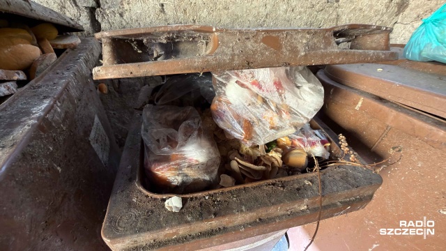 Fot. Robert Stachnik [Radio Szczecin] Mieszkańcy północy Szczecina: szczury biegają, jakby były u siebie [WIDEO, ZDJĘCIA]