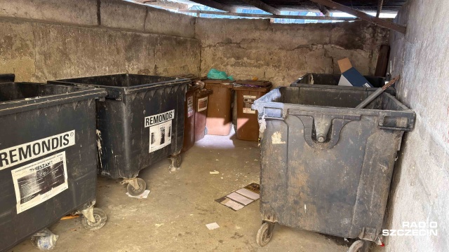 Fot. Robert Stachnik [Radio Szczecin] Mieszkańcy północy Szczecina: szczury biegają, jakby były u siebie [WIDEO, ZDJĘCIA]