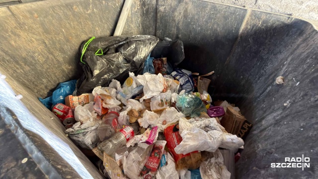 Fot. Robert Stachnik [Radio Szczecin] Mieszkańcy północy Szczecina: szczury biegają, jakby były u siebie [WIDEO, ZDJĘCIA]