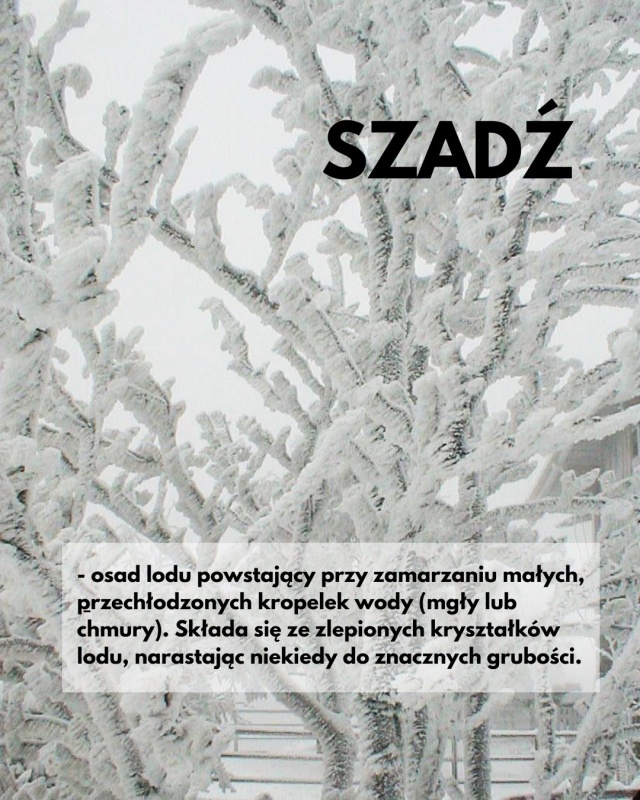 Mat. Towarzystwo Krajoznawcze Krajobraz Śryż, okiść, sastrugi i morszkulce - sroga zima przywraca zapomniane polskie słowa