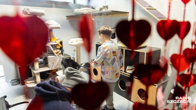 Fot. Robert Stachnik [Radio Szczecin] "Każdy zasługuje na miłość" - walentynki w schronisku dla zwierząt [WIDEO, ZDJĘCIA]