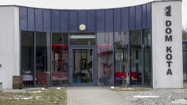Fot. Maciej Papke [Radio Szczecin] Dzień Kota w schronisku w Dobrej [WIDEO, ZDJĘCIA]