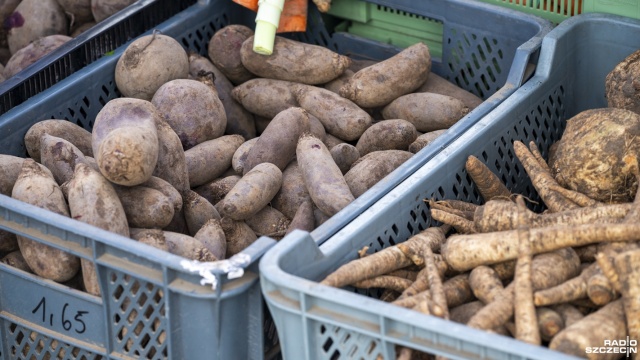 Fot. Kamila Kozioł [Radio Szczecin] Świeżo, zdrowo i lokalnie. Bazarek na Bronowickiej zaprasza [WIDEO, ZDJĘCIA]