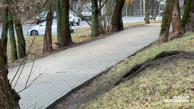 Fot. Robert Stachnik [Radio Szczecin] Rozpoczęło się pozimowe sprzątanie miasta [ZDJĘCIA]