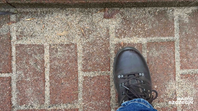 Fot. Robert Stachnik [Radio Szczecin] Rozpoczęło się pozimowe sprzątanie miasta [ZDJĘCIA]