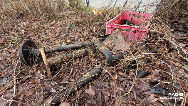 Fot. Robert Stachnik [Radio Szczecin] Śmieci wracają jak bumerang [WIDEO, ZDJĘCIA]