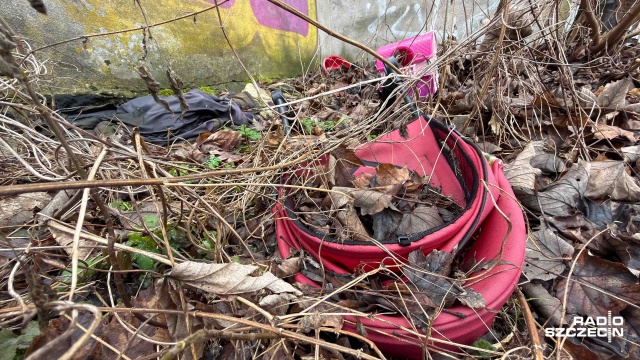 Fot. Robert Stachnik [Radio Szczecin] Śmieci wracają jak bumerang [WIDEO, ZDJĘCIA]