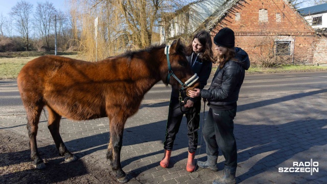 Fot. Robert Stachnik [Radio Szczecin] Mieszkańcy Będargowa nie chcą strefy przemysłowej obok swoich domów [WIDEO, ZDJĘCIA]