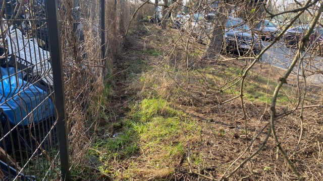 Fot. Straż Miejska Szczecin Śmieci przy Turzynie w końcu zniknęły [ZDJĘCIA]