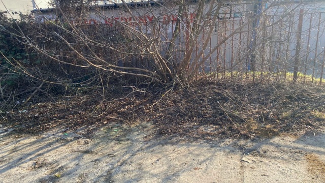 Fot. Straż Miejska Szczecin Śmieci przy Turzynie w końcu zniknęły [ZDJĘCIA]