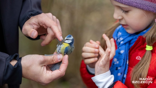 Fot. Robert Stachnik [Radio Szczecin] Akcja Karmnik na Cmentarzu Centralnym [WIDEO, ZDJĘCIA]