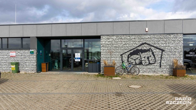 Fot. Robert Stachnik [Radio Szczecin] Poszukiwani wolontariusze do opieki nad schroniskowymi kotami [WIDEO, ZDJĘCIA]