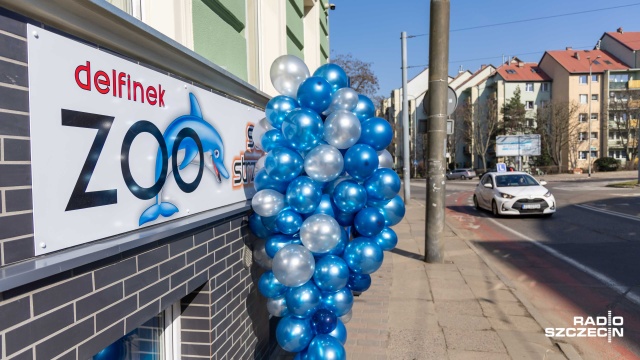 Fot. Robert Stachnik [Radio Szczecin] Sklep, w który wjechał tramwaj, znów otwarty. "Ogromne straty" [WIDEO, ZDJĘCIA]