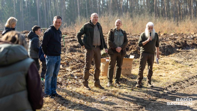 Fot. Robert Stachnik [Radio Szczecin] Kilka tysięcy nowych drzewek w Nadleśnictwie Trzebież [WIDEO, ZDJĘCIA]