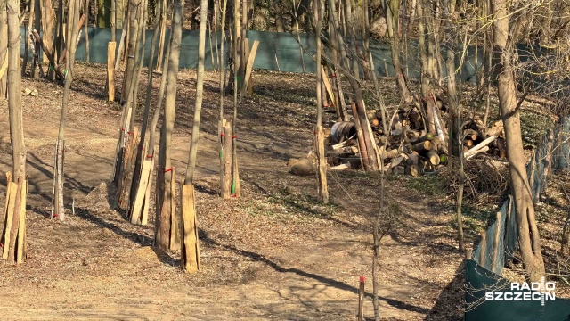 Fot. Robert Stachnik [Radio Szczecin] Prywatny szpital powstanie przy parku Chopina. Mieszkańcy nie są zadowoleni [WIDEO, WIZUALIZACJE, ZDJĘCIA]