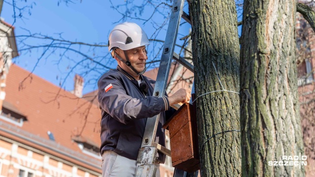 Fot. Robert Stachnik [Radio Szczecin] Ptasi rynek nieruchomości rośnie. Jest popyt, są i... mieszkania [WIDEO, ZDJĘCIA]