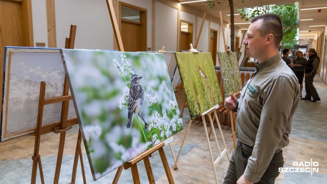 Fot. Robert Stachnik [Radio Szczecin] Portrety zwierząt na nowej wystawie w siedzibie Lasów Państwowych [ZDJĘCIA]