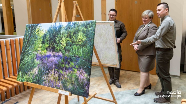 Fot. Robert Stachnik [Radio Szczecin] Portrety zwierząt na nowej wystawie w siedzibie Lasów Państwowych [ZDJĘCIA]