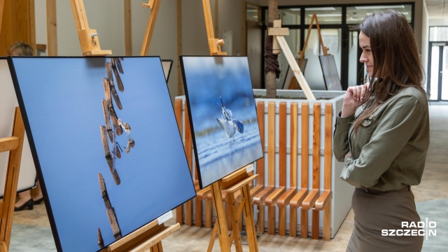 Fot. Robert Stachnik [Radio Szczecin] Portrety zwierząt na nowej wystawie w siedzibie Lasów Państwowych [ZDJĘCIA]