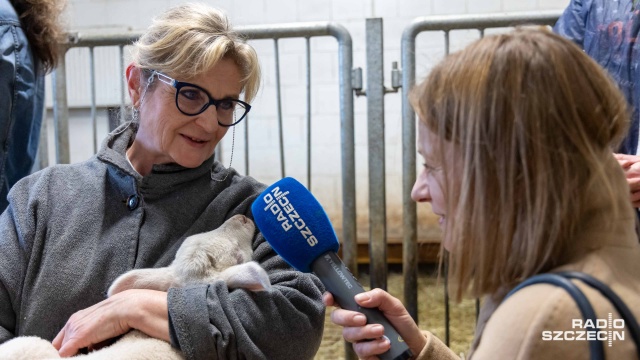 Fot. Robert Stachnik [Radio Szczecin] W Zwierzętarni ZUT-u urodziły się zagrożone wyginięciem owce pomorskie [WIDEO, ZDJĘCIA]