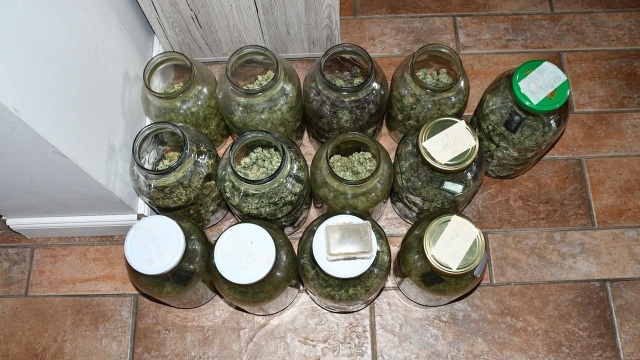 Fot. Komenda Powiatowa Policji w Stargardzie Ponad 4 kg marihuany i plantacja konopi w rękach służb [WIDEO, ZDJĘCIA]