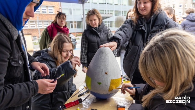 Fot. Robert Stachnik [Radio Szczecin] Pingwin, cyfry i zajączki - studenci ZUT po raz kolejny pomalowali jaja [WIDEO, ZDJĘCIA]