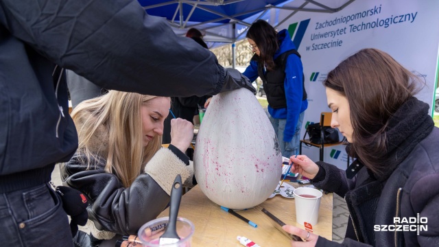 Fot. Robert Stachnik [Radio Szczecin] Pingwin, cyfry i zajączki - studenci ZUT po raz kolejny pomalowali jaja [WIDEO, ZDJĘCIA]