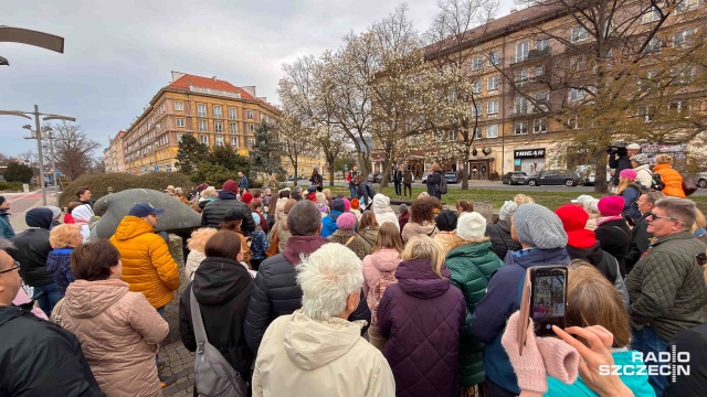 Fot. Robert Stachnik [Radio Szczecin] Magnoliowy spacer zgromadził dziesiątki Szczecinian [ZDJĘCIA]