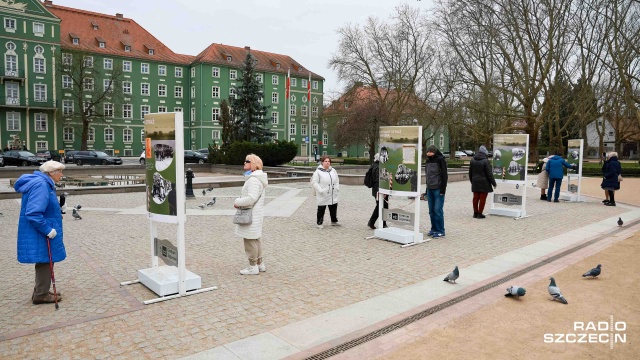 Fot. Robert Stachnik [Radio Szczecin] Otwarcie wystawy w 80. rocznicę Zlotu "Trzymamy Straż nad Odrą" [ZDJĘCIA]