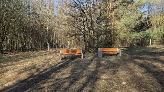 Fot. Urząd Miasta Szczecin Wybiegi dla psów w Szczecinie z nowymi urządzeniami [ZDJĘCIA]