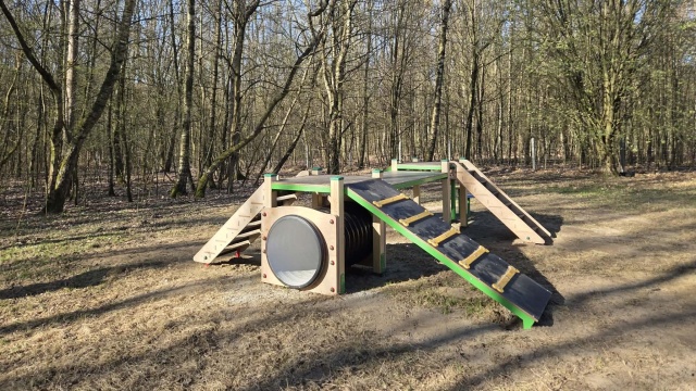 Fot. Urząd Miasta Szczecin Wybiegi dla psów w Szczecinie z nowymi urządzeniami [ZDJĘCIA]