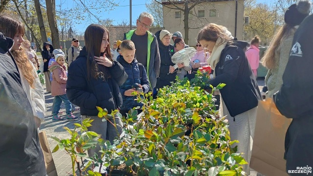 Fot. Przemysław Polanin [Radio Szczecin] Zamień elektrośmieci na sadzonkę róży [ZDJĘCIA]