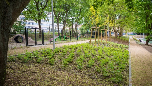 Fot. Urząd Miasta Szczecin Nowy park dla mieszkańców Pogodna [ZDJĘCIA]