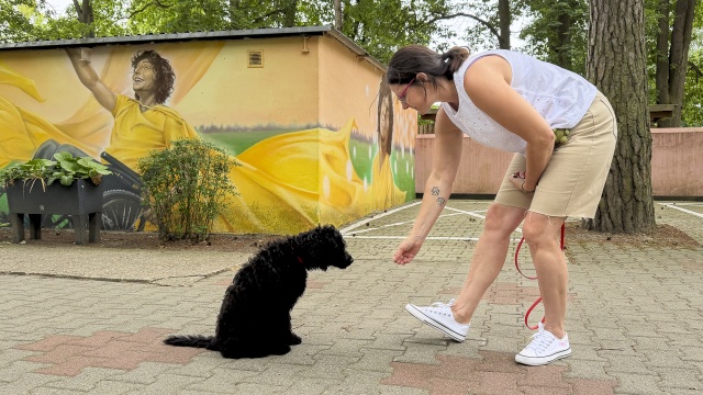 Fot. Maciej Papke [Radio Szczecin] Nowa (czworonożna) pracownica ośrodka dla dzieci w Policach [WIDEO, ZDJĘCIA]