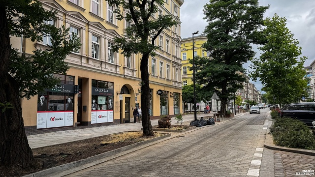 Fot. Wojciech Ochrymiuk [Radio Szczecin] Przewrócone drzewo na Alei Wojska Polskiego było spróchniałe [ZDJĘCIA]