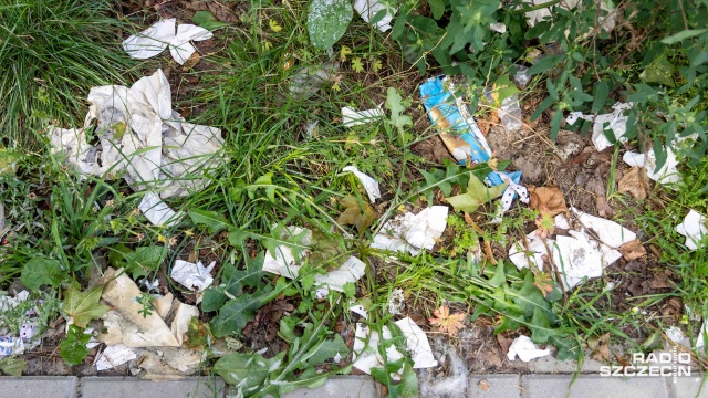 Fot. Robert Stachnik [Radio Szczecin] Problem ze śmieciami na parkingu przy Dunikowskiego [ZDJĘCIA]