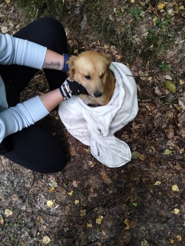 Fot. KPP w Drawsku Pomorskim Uwięził psa w worku i wywiózł do lasu