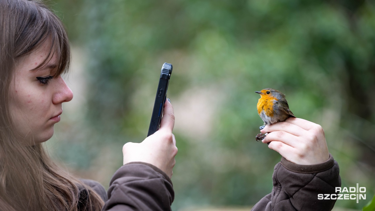 Akcja Karmnik na Cmentarzu Centralnym [WIDEO, ZDJĘCIA]