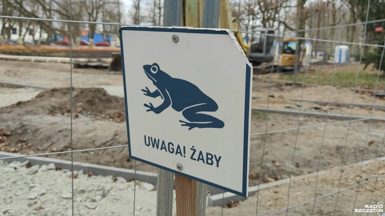 Żaby "wstrzymały" inwestycję [ZDJĘCIA]