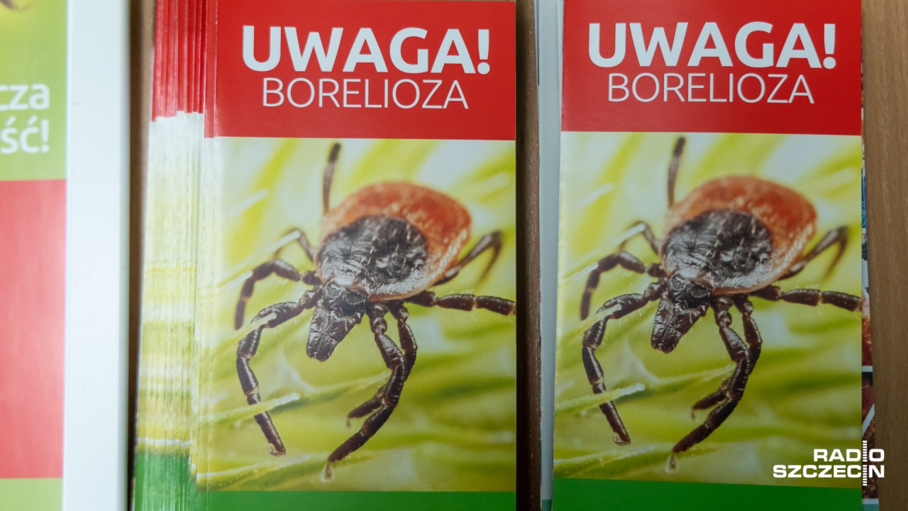 Sezon na kleszcze trwa. "Nie panikujmy, ale..."