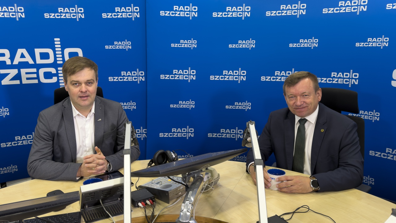 Rzepa z PSL: w lasach jest za dużo zwierząt, odstrzał jest potrzebny