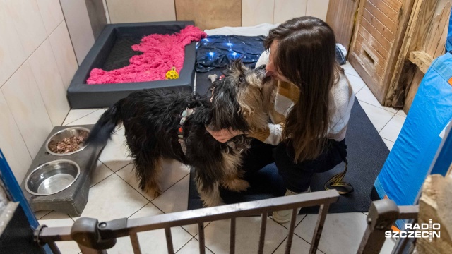 "Paczka dla zwierzaczka" w szczecińskim TOZ [ZDJĘCIA]
