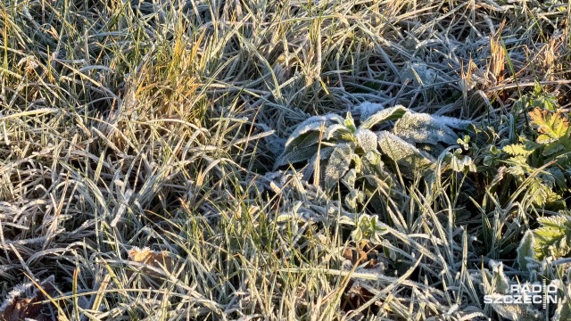 Do Polski zacznie od poniedziałku napływać cieplejsze powietrze, choć wciąż w wielu miejscach kraju temperatury będą ujemne - informuje Instytut Meteorologii i Gospodarki Wodnej.