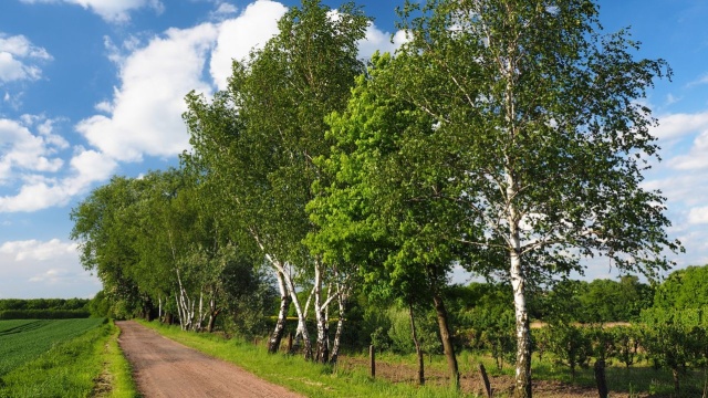 Nadarza się okazja by wyróżnić zachodniopomorskich sołtysów. Urząd Marszałkowski ogłosił czternastą edycję konkursu Sołtys Roku, który ma podkreślać rolę tych sołtysów, którzy w wyjątkowy sposób przyczyniają się do rozwoju swoich lokalnych społeczności.