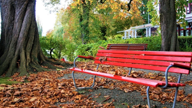 Wystartował konkurs Marszałka Województwa Zachodniopomorskiego Granty Osiedlowe 2026. To czwarta edycja konkursu, do tej pory zrealizowano 96 społecznych projektów między innymi: system monitoringu w Karlinie, stacja napraw rowerów w Bornem Sulinowie, czy rzeźba słowiańskiego osadnika w Policach.