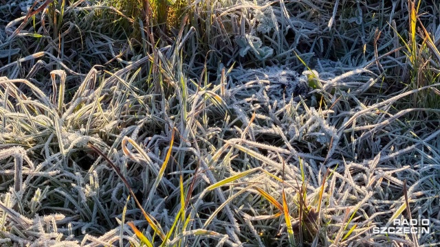 Po kilku dniowej odwilży na Pomorze Zachodnie wracają mrozy. Na razie ujemne temperatury męczą mieszkańców Polski północno-wschodniej i wschodniej.